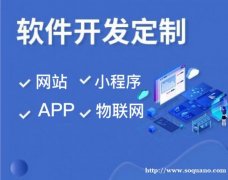 萍乡软件开发小程序开发