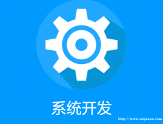 江西九江做软件系统开发网站建设APP制作开发