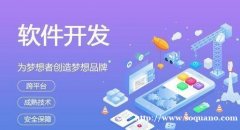 江西南昌外包公司,APP应用软件开发商城网站建设