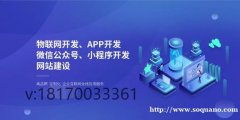 南昌做APP应用软件开发计算机技术开发的网络公司