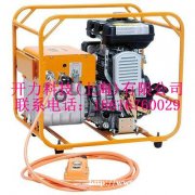 HPE-2A  汽油机液压泵（日本IZUMI）