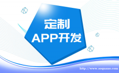 江西南昌做APP定制APP开发的软件开发公司