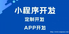 江西南昌可以做APP软件小程序商城开发的公司找哪家