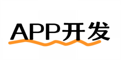 南昌能够开发软件的公司,做小程序APP网站开发