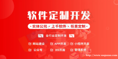 江西软件定制与开发公司,南昌商城网站小程序开发