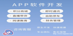 江西南昌有技术有经验有案例的APP软件开发公司