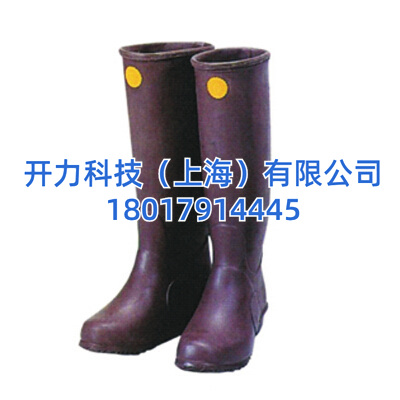 YS113-01-03 绝缘靴（日本 YS）