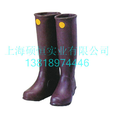 YS112-01-10	绝缘靴（日本 YS）
