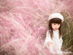 上海Rainbow Baby高端儿童摄影（粉黛子）