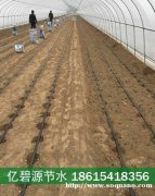 定陶大棚灌溉系统农业滴灌管成本