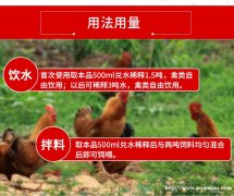 乌鸡饲养补充维生素常用禽用多维禽益宝