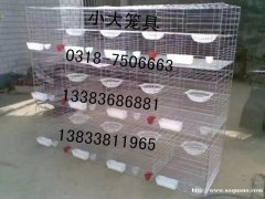 出售鸡笼鸽笼兔笼猫笼狗笼鹧鸪笼鹌鹑笼运输笼兔笼门鸽笼门 饲料