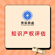 武汉市知识产权评估专利出资评估软著增资评估贵荣鼎盛评估