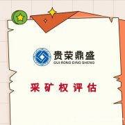 扬州市专利商标软著评估无形资产评估知识产权评估