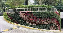 佛山绿化植物墙