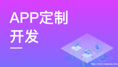 江西网络服务公司,APP软件定制商城网站建设开发