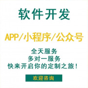 南昌做网站建设APP软件开发17年的网络开发公司