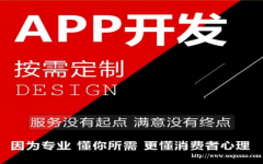 江西从事网站建设制作开发的APP软件开发公司