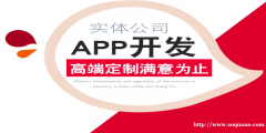 江西南昌做网站商城APP开发的哪家软件公司好
