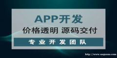 南昌app软件开发公司,小程序商城网站搭建