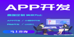 江西个性化定制源码开发的做网站APP软件开发公司