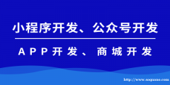 江西软件开发公司,南昌本地小程序商城开发